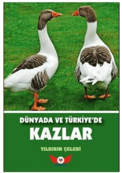 Dünyada ve Türkiye'de Kazlar