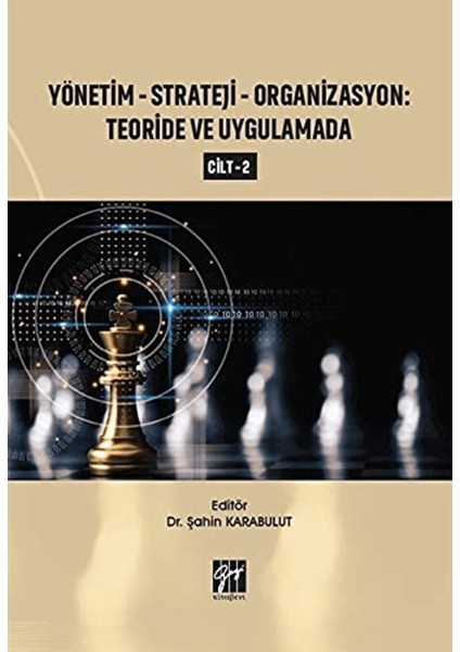 Yönetim-Strateji-Organizasyon: Teoride ve Uygulamada Cilt 2