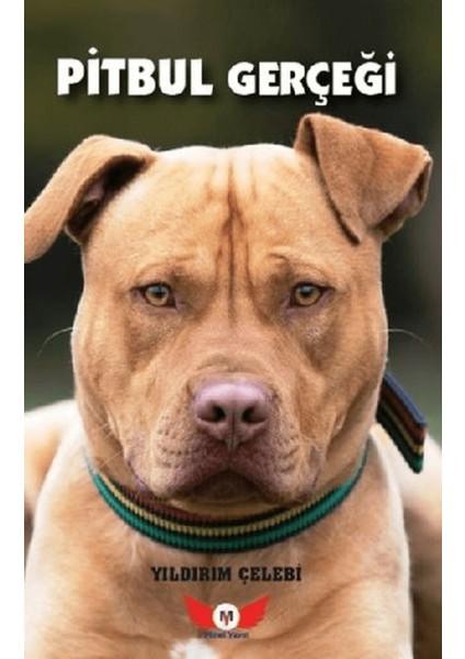 Pitbul Gerçeği