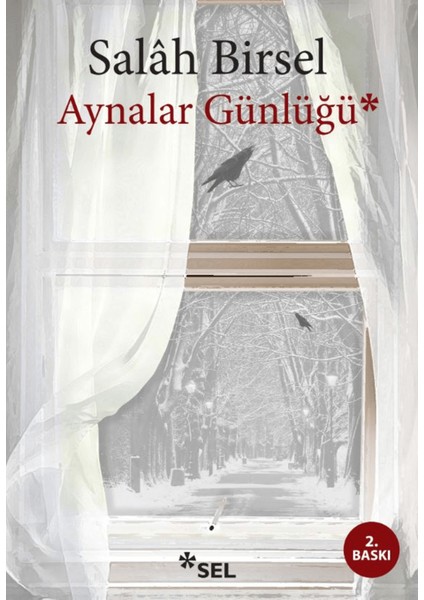 Aynalar Günlüğü