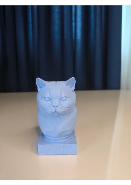 Dekoratif Kedi Figürlü Biblo