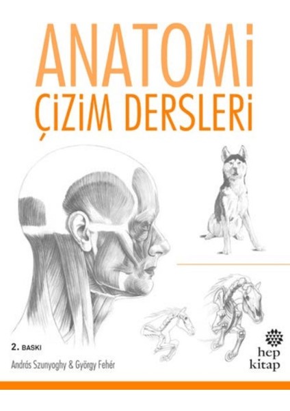 Anatomi Çizim Dersleri