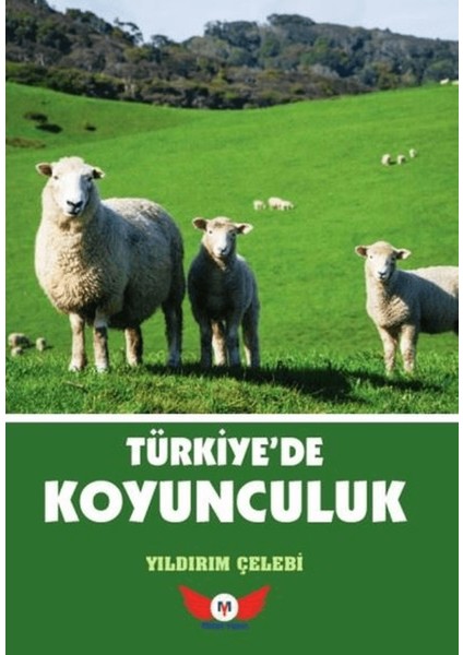 Türkiye'de Koyunculuk