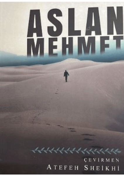 Aslan Mehmet