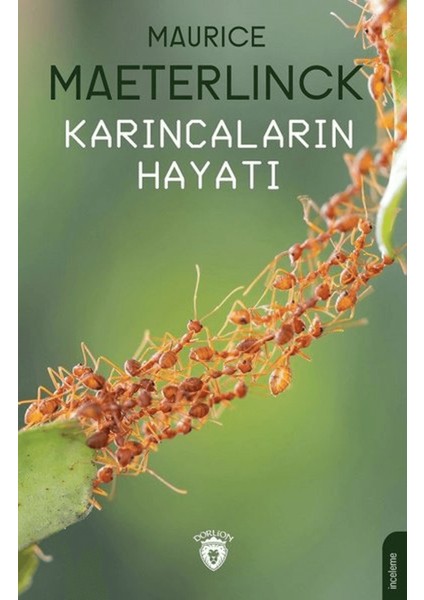 Karıncaların Hayatı