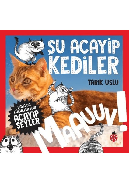 Daha Da Küçükler Için Şu Acayip Kediler - Daha Da Küçükler Için Acayip Şeyler 1
