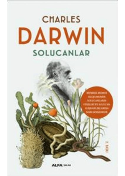 Solucanlar
