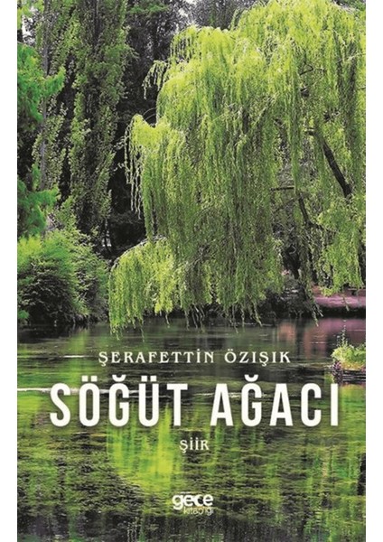 Söğüt Ağacı