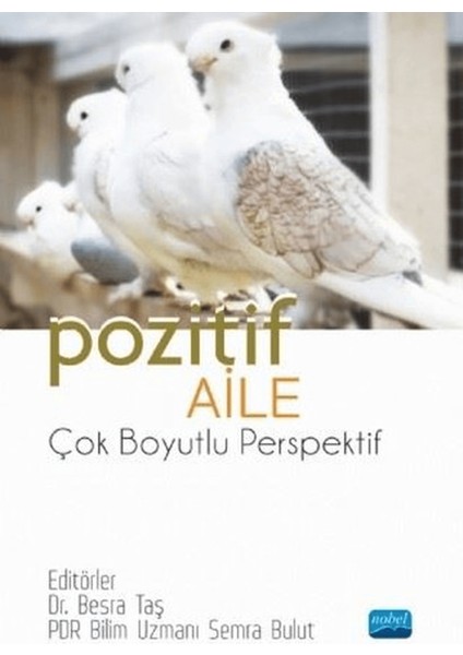 Pozitif Aile - Çok Boyutlu Perspektif