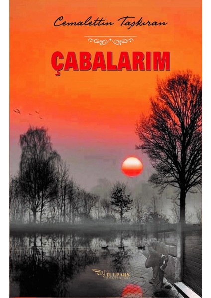 Çabalarım