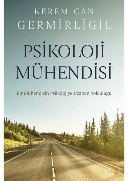 Psikoloji Mühendisi