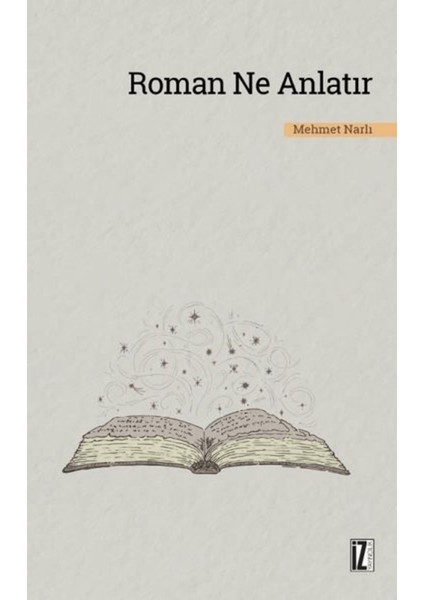 Roman Ne Anlatır