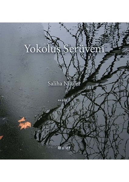 Yokoluş Serüveni