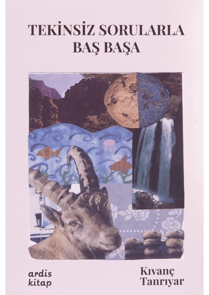 Tekinsiz Sorularla Baş Başa