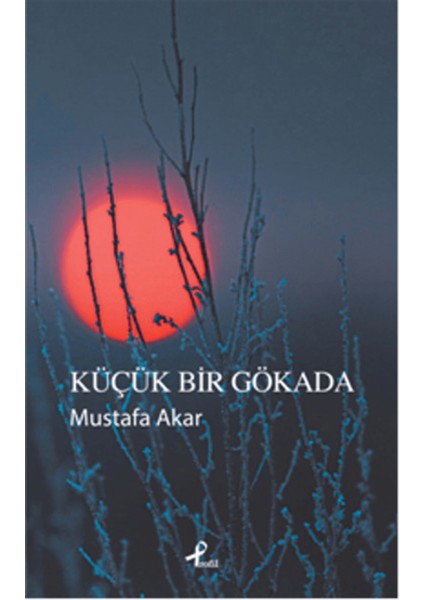 Küçük Bir Gökada
