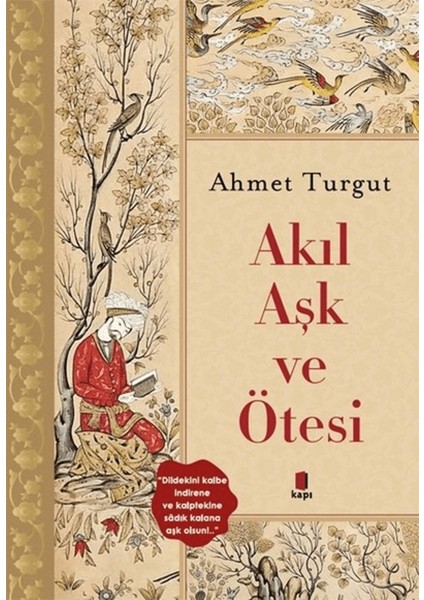 Akıl Aşk ve Ötesi