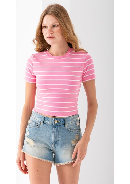Kadın Bisiklet Yaka Çizgili Pamuklu Crop T-Shirt Pembe Beyaz - 25512