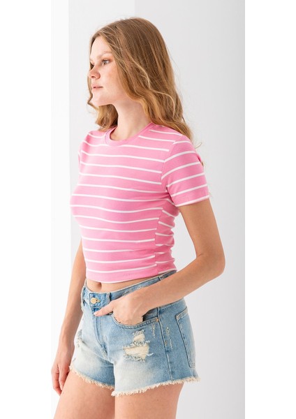 Kadın Bisiklet Yaka Çizgili Pamuklu Crop T-Shirt Pembe Beyaz - 25512 fiyatları
