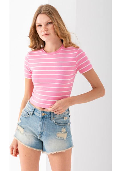 Kadın Bisiklet Yaka Çizgili Pamuklu Crop T-Shirt Pembe Beyaz - 25512