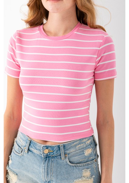 Kadın Bisiklet Yaka Çizgili Pamuklu Crop T-Shirt Pembe Beyaz - 25512
