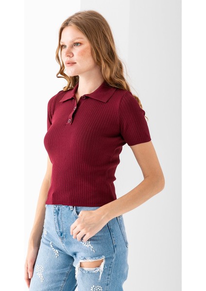 Kadın Polo Yaka Düğme Detaylı Triko Basic T-Shirt Bordo - 4057