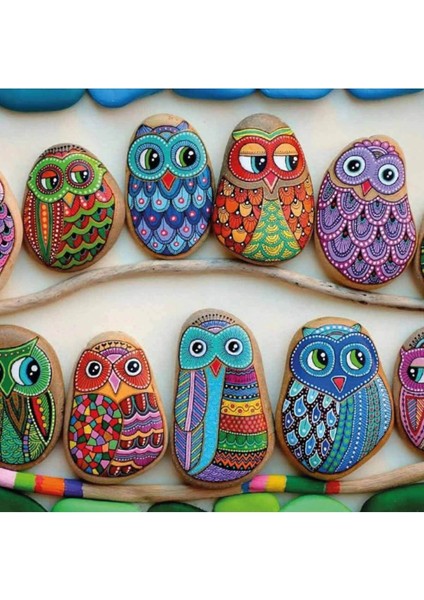 Renkli Taş Boyama Hobi Seti, Eğlenceli ve Yaratıcı Sanat Aktiviteleri fiyatları