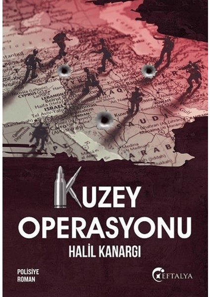 Kuzey Operasyonu
