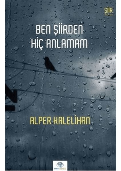 Ben Şiirden Hiç Anlamam