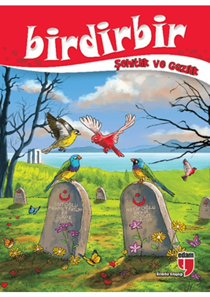 Birdirbir - Şehitlik ve Gazilik