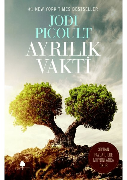 Ayrılık Vakti