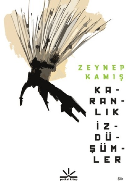 Karanlık Izdüşümler