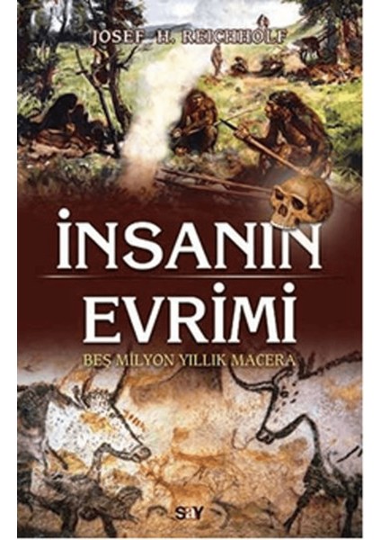 Insanın Evrimi