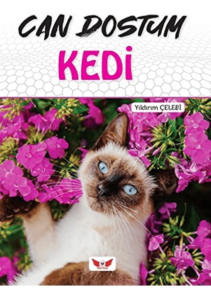 Can Dostum Kedi