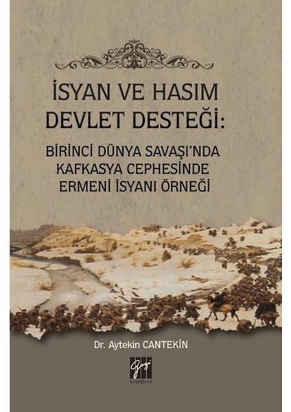 Isyan ve Hasım Devlet Desteği: Birinci Dünya Savaşı'nda Kafkasya Cephesinde Ermeni Isyanı Örneği