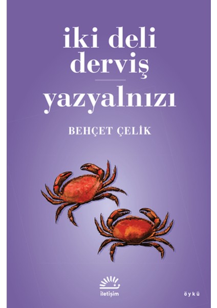 Iki Deli Derviş - Yazyalnızı