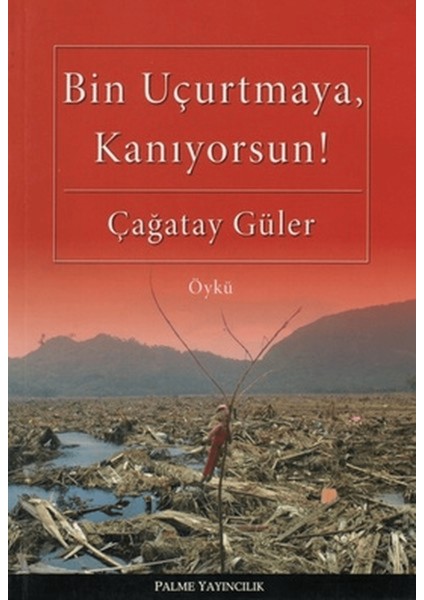 Bin Uçurtmaya, Kanıyorsun!