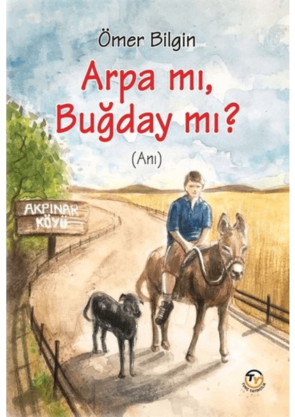Arpa Mı, Buğday Mı?