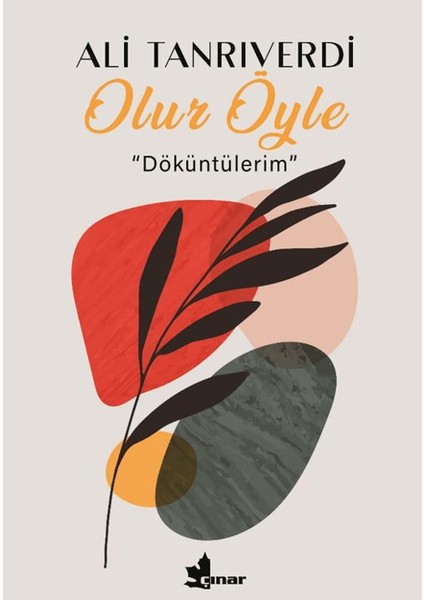 Olur Öyle - Ali Tanrıverdi
