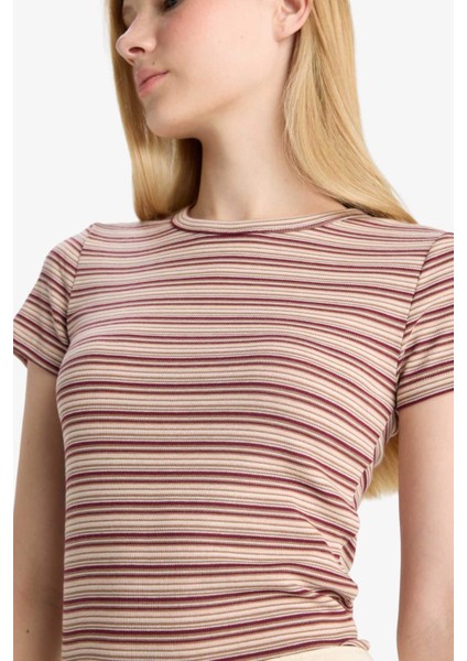 Fitted Bisiklet Yaka Ribana Çizgili Kısa Kollu Tişört F7822AX25AU indirimleri