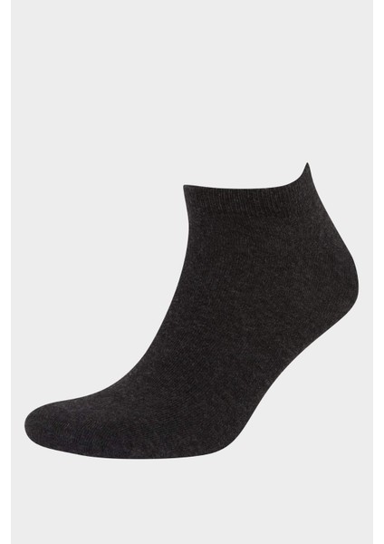 Erkek 7'li Pamuklu Patik Çorap C4489AXNS fiyatları