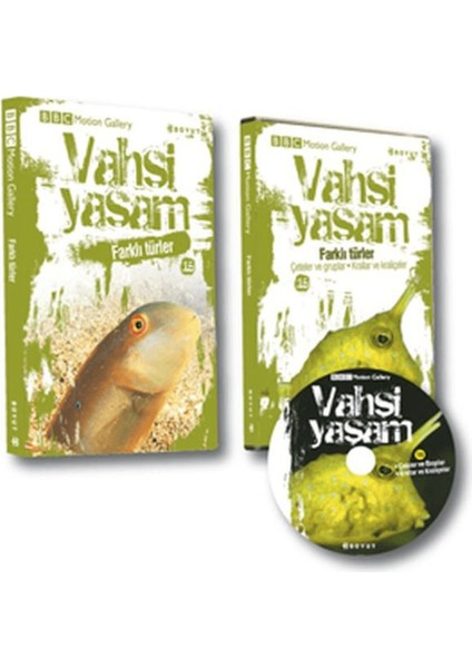 Vahşi Yaşam 2 - Farklı Türler