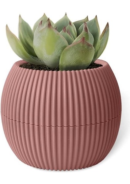 KRS-363 Plastik Mercan Kaktüs Saksı 0.7 Litre Soft Pembe 6 Adet indirimleri