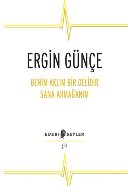 Benim Aklım Bir Delidir Sana Armağanım