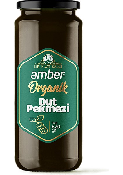 Organik Dut Pekmezi 620 gr fırsatları