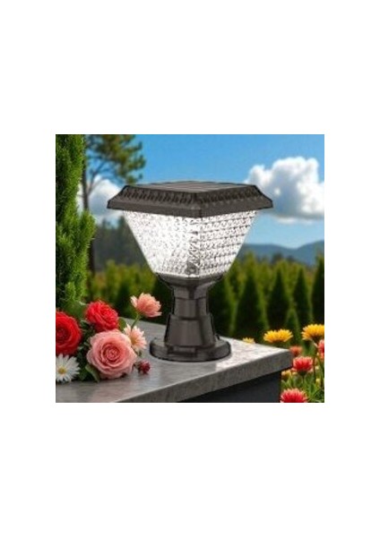 30W Solar Set Üstü CT-7315