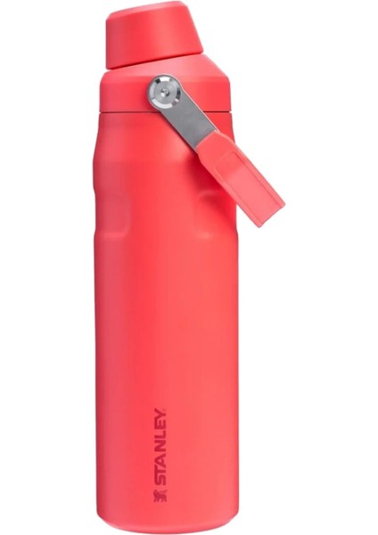 The Iceflow Bottle Fast Flow 0.7l Su Şişesi Termosu 10-11287-330