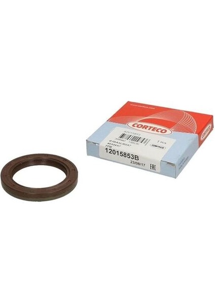 12015853B On Krank Kecesı Palıo Sıena 1.2