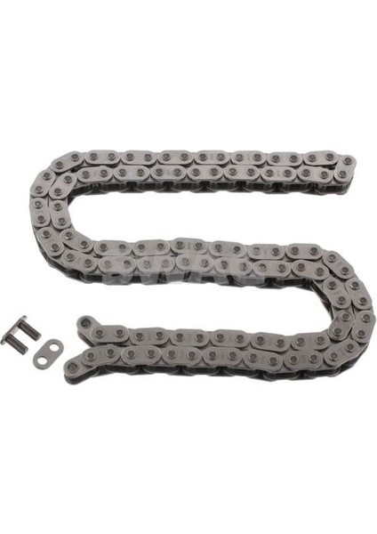 99110448 Eksantrık Zıncırı (OM640. OM668) Smart Forfour (454) 04>05