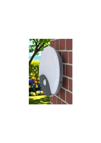 20W Palermo Sıvaüstü LED Armatürü Sensörlü (4000K) CT-7092