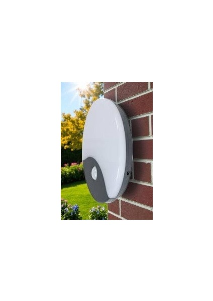 20W Palermo Sıvaüstü LED Armatürü Sensörlü (4000K) CT-7092